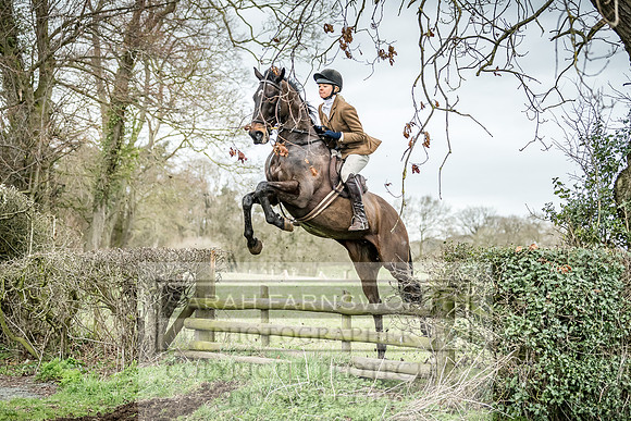 Wynnstay 020309-489