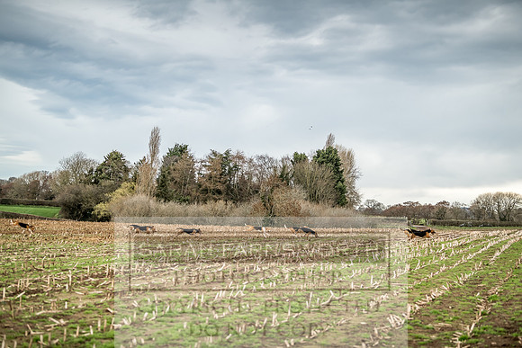 Wynnstay 020309-142