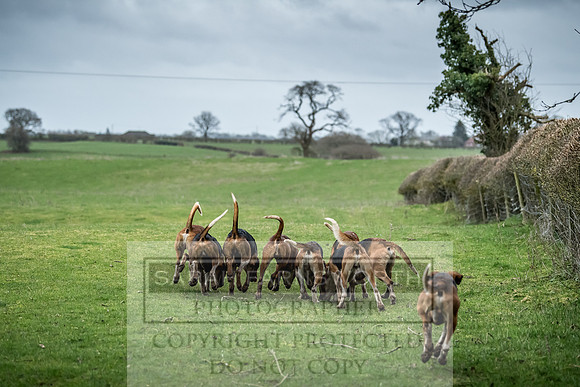 Wynnstay 020309-533