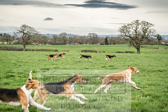Wynnstay 020309-81