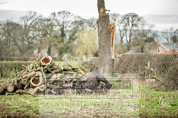 Wynnstay 020309-155