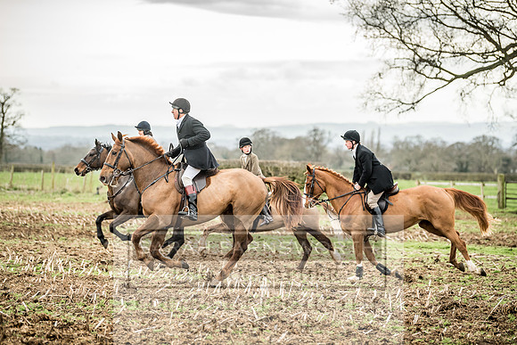 Wynnstay 020309-161