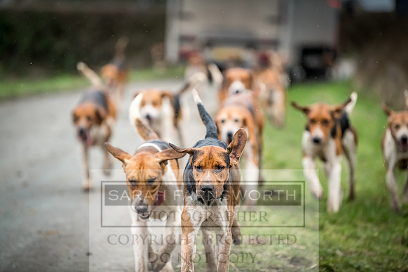 Wynnstay 020309-561