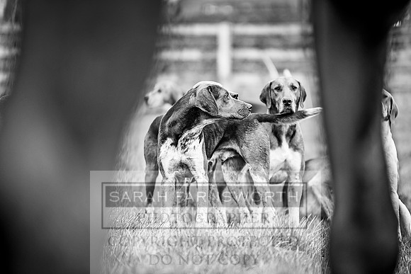 Wynnstay 020309-90