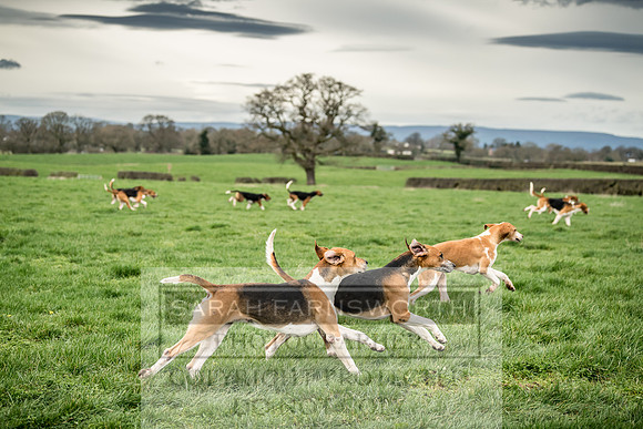 Wynnstay 020309-83