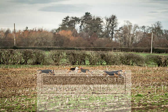 Wynnstay 020309-135