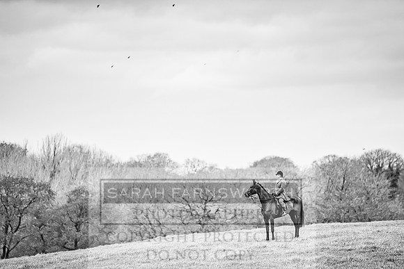 Wynnstay 020309-331