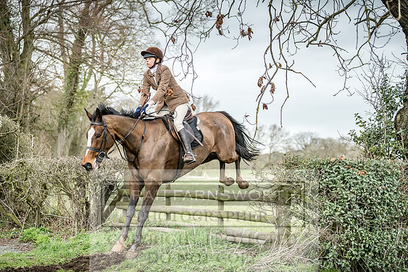 Wynnstay 020309-495