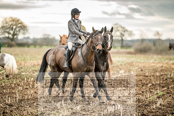 Wynnstay 020309-173