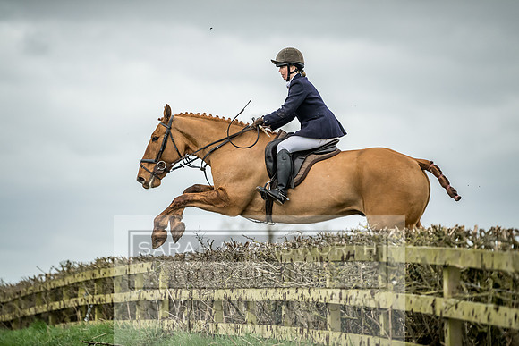 Wynnstay 020309-395