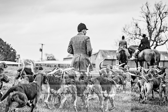Wynnstay 020309-439