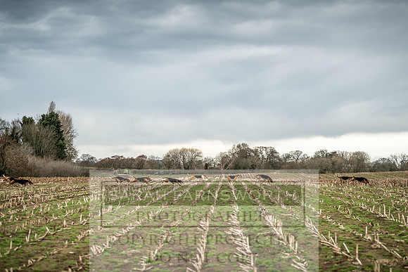 Wynnstay 020309-146