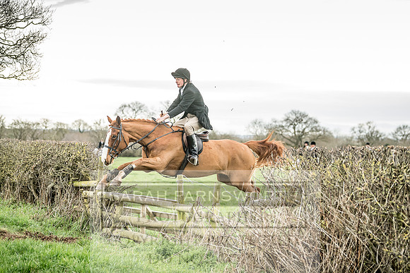 Wynnstay 020309-194