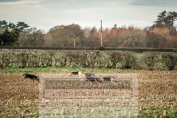 Wynnstay 020309-134