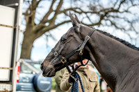 Wynnstay 020309-9