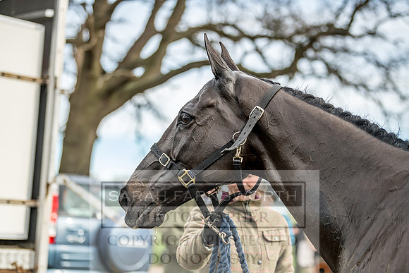 Wynnstay 020309-9