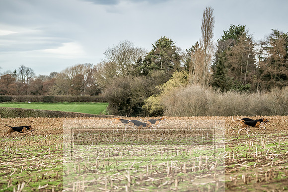 Wynnstay 020309-140