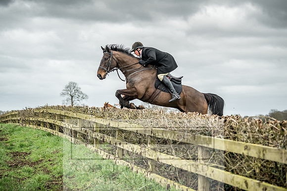 Wynnstay 020309-354