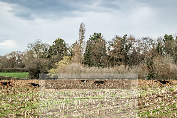 Wynnstay 020309-141