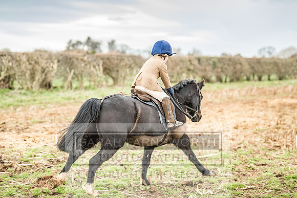 Wynnstay 020309-170