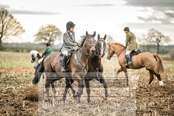 Wynnstay 020309-172