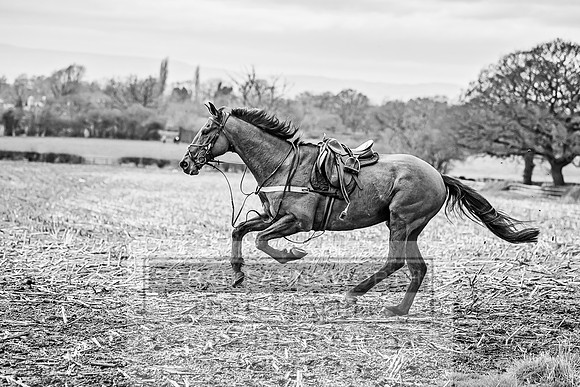 Wynnstay 020309-288