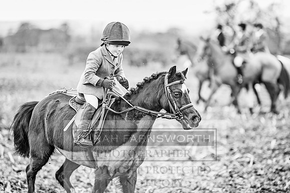 Wynnstay 020309-168