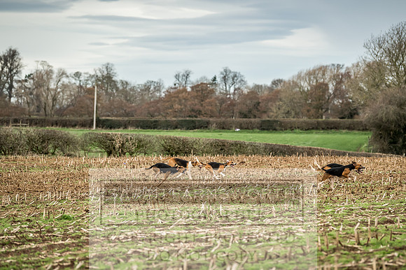 Wynnstay 020309-139