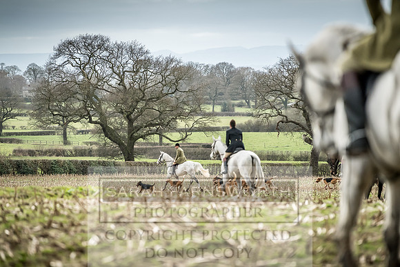 Wynnstay 020309-287