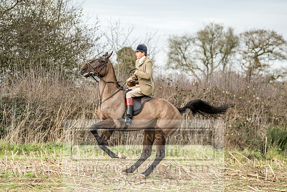 Wynnstay 020309-284