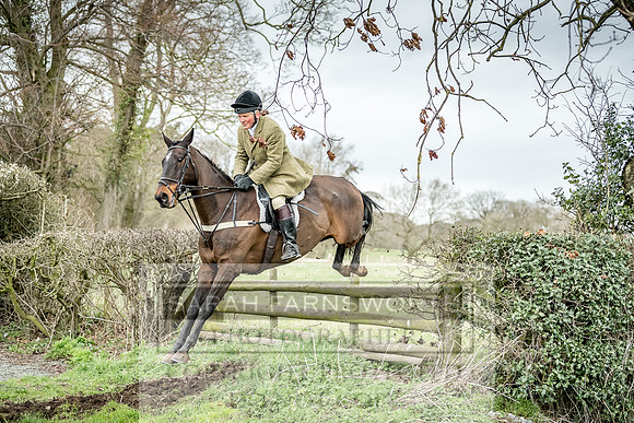Wynnstay 020309-471