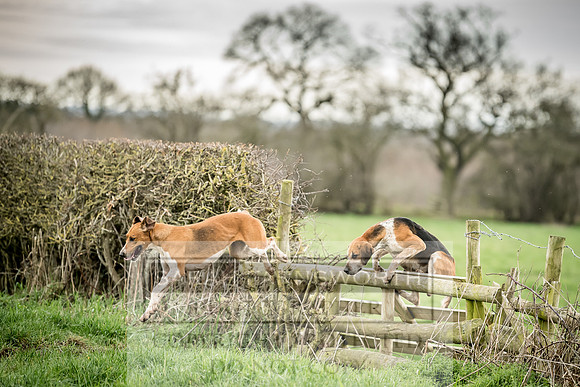 Wynnstay 020309-181