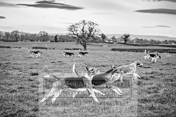 Wynnstay 020309-82