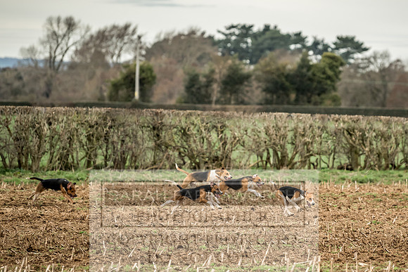 Wynnstay 020309-133