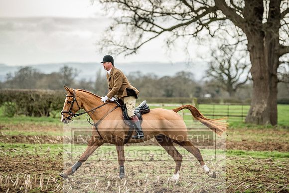 Wynnstay 020309-159