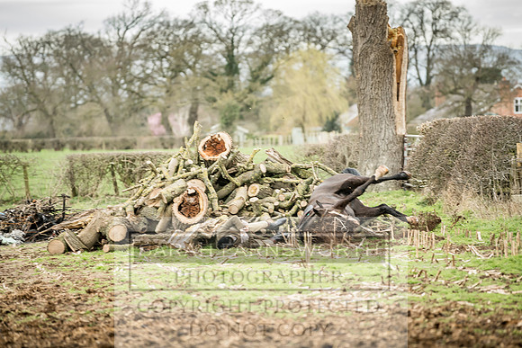 Wynnstay 020309-156