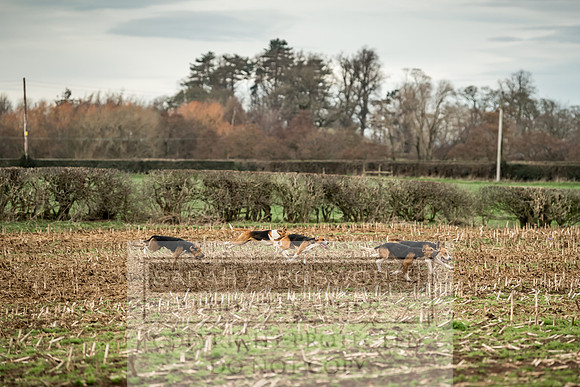Wynnstay 020309-136