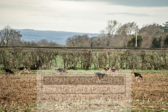 Wynnstay 020309-132