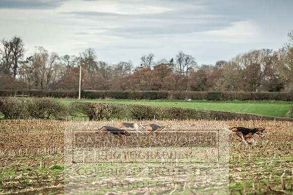 Wynnstay 020309-138