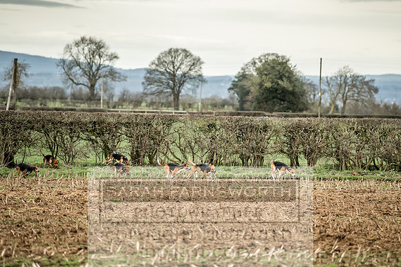 Wynnstay 020309-130