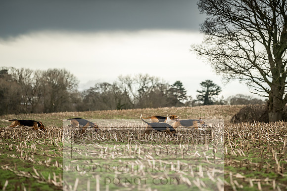 Wynnstay 020309-149