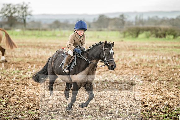 Wynnstay 020309-167