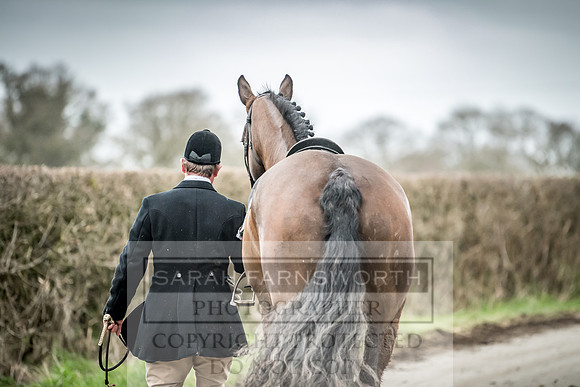 Wynnstay 020309-524