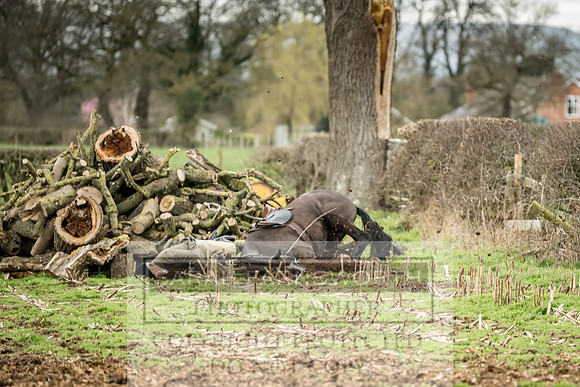 Wynnstay 020309-154
