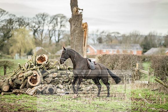 Wynnstay 020309-157