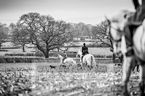 Wynnstay 020309-286