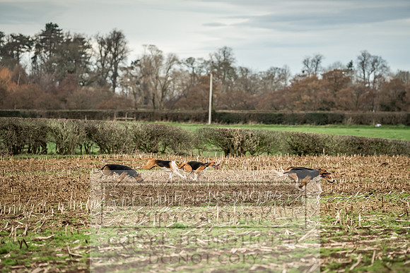 Wynnstay 020309-137