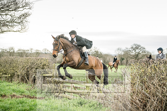 Wynnstay 020309-191