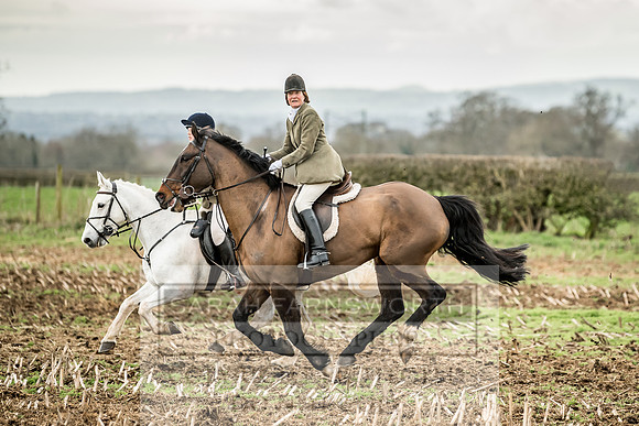 Wynnstay 020309-160