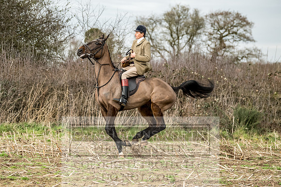 Wynnstay 020309-283